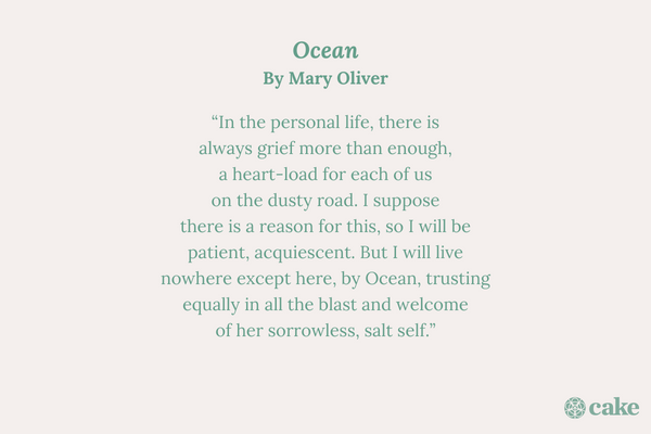 Mary Oliver Poems About Living Life